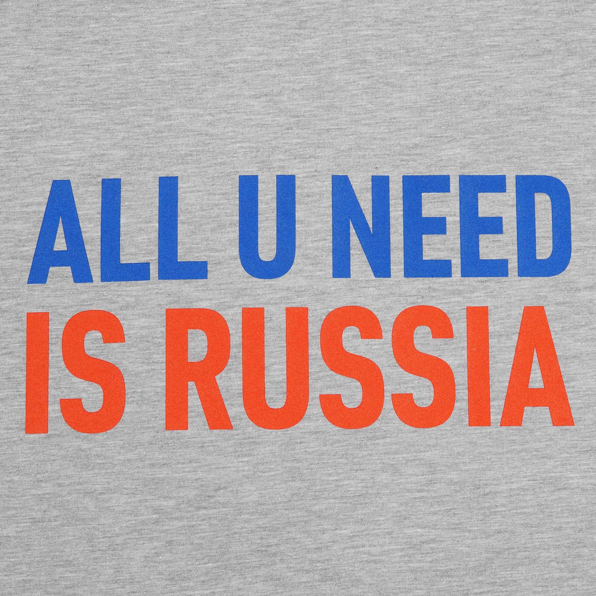 Футболка детская серая "All u Need is Russia"