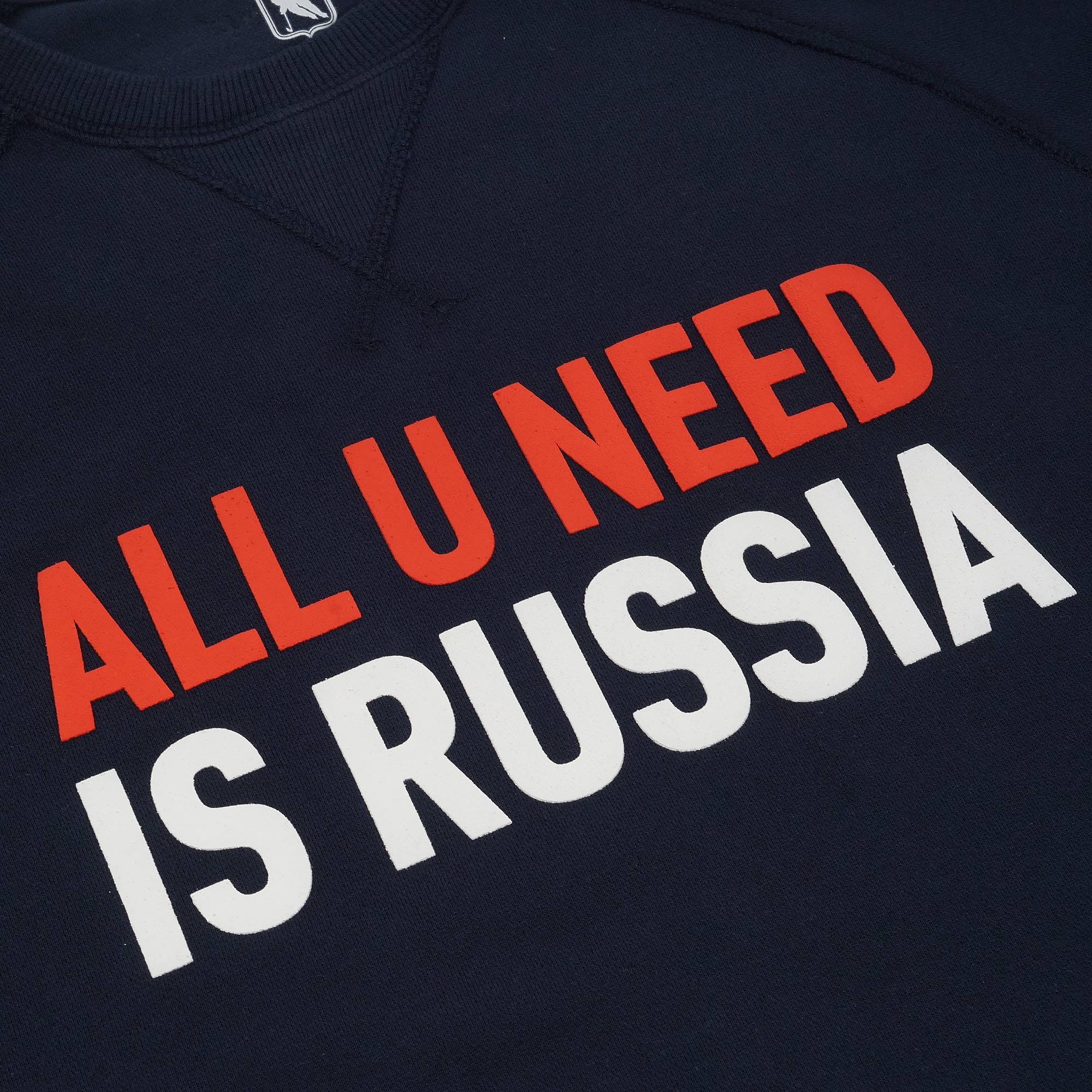 Толстовка мужская All U Need is Russia
